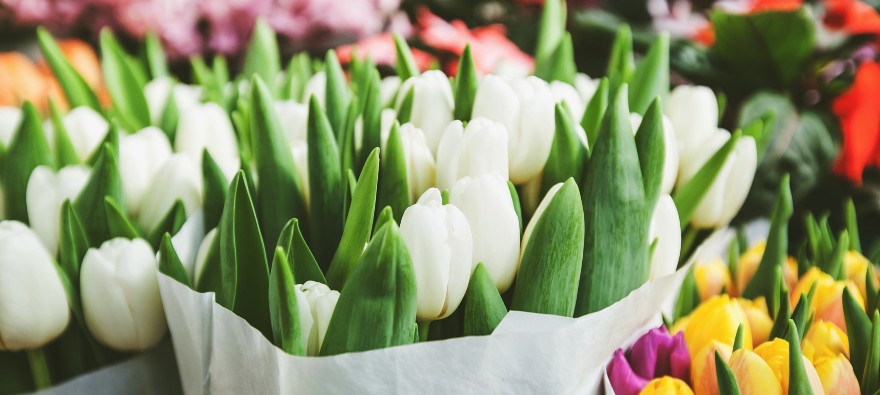 Ecommerce Pricing Strategies